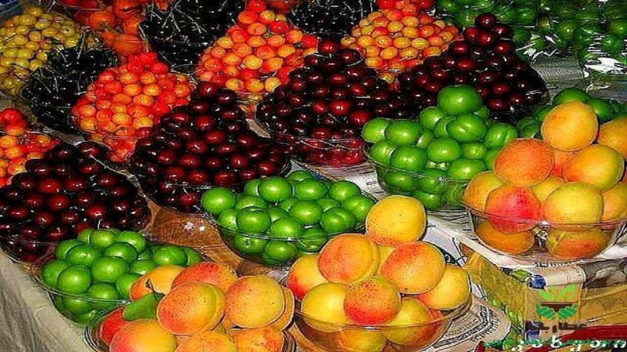 قیمت میوه‌های نوبرانه در همدان رو به کاهش است