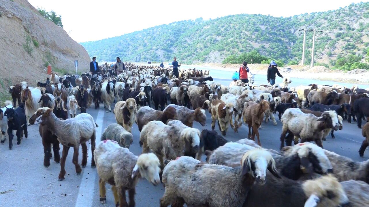 ممنوعیت کوچ پیاده عشایر