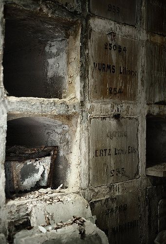 قبرستان وحشتناک و مخوف در بلژیک + تصاویر