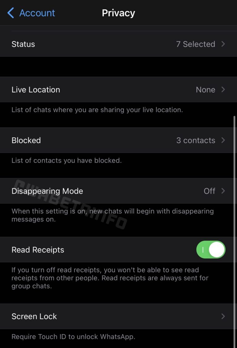 تمرکز بر حفظ حریم خصوصی، قابلیت جدید واتساپ