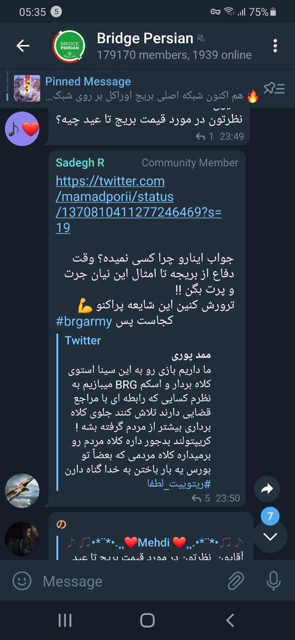 داستان خنده&zwnj;دار یک شبه پولدار شدن/ چرا BRG یک پروژه کلاهبرداری است؟ + تصاویر