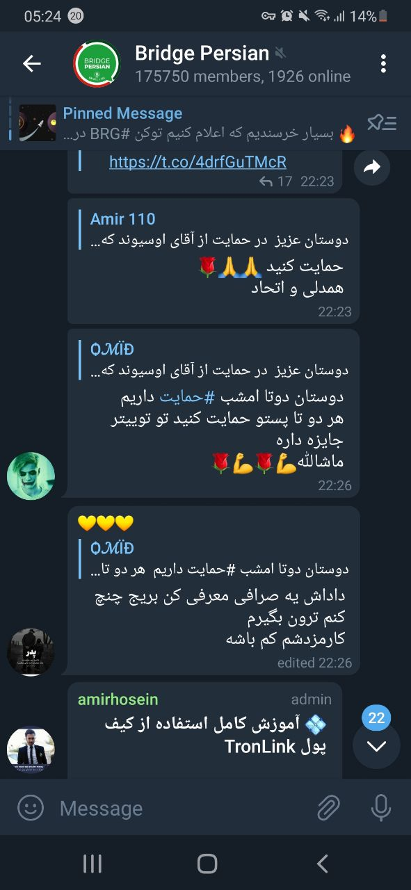 داستان خنده&zwnj;دار یک شبه پولدار شدن/ چرا BRG یک پروژه کلاهبرداری است؟ + تصاویر