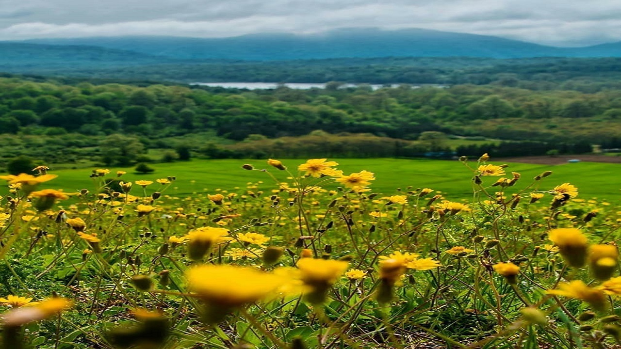 طبیعت زیبای چهار دانگه در قاب دوربین شهروندخبرنگار + تصاویر