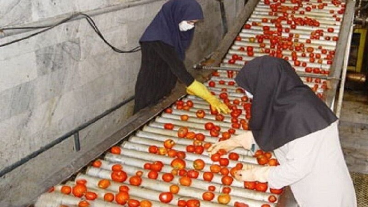 صدور ۱۳ پروانه تاسیس صنایع غذایی و تبدیلی در قزوین