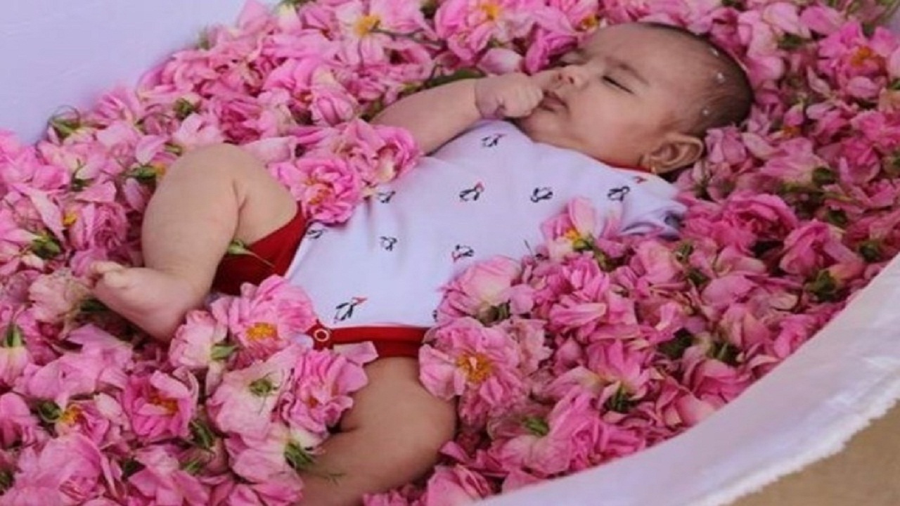 آیین گل‌غلتان دامغان مستند تلویزیونی شد
