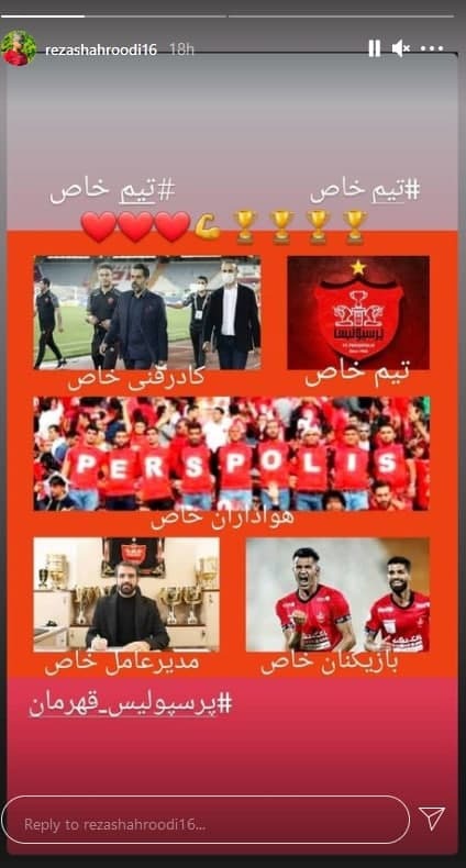 رضا شاهرودی