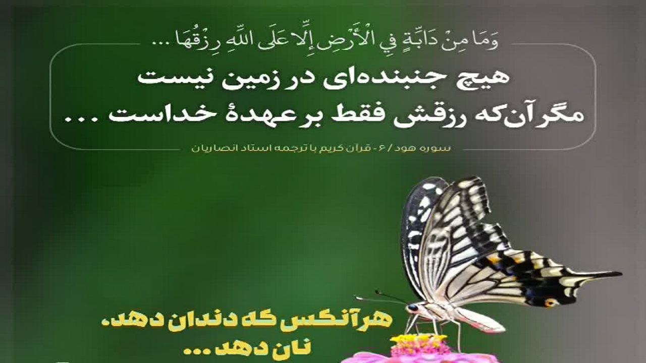 نان و دندان