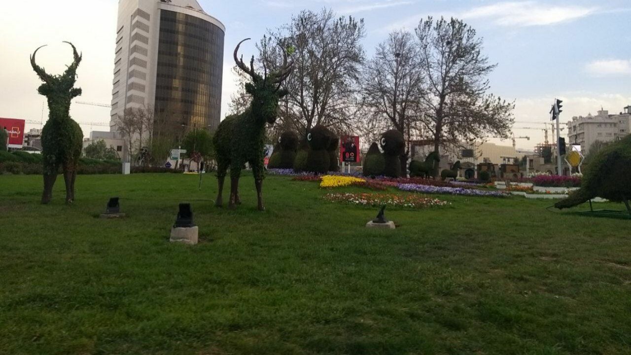 دشت رنگارنگ لاله ها در شهر امام مهربانی ها+ تصاویر