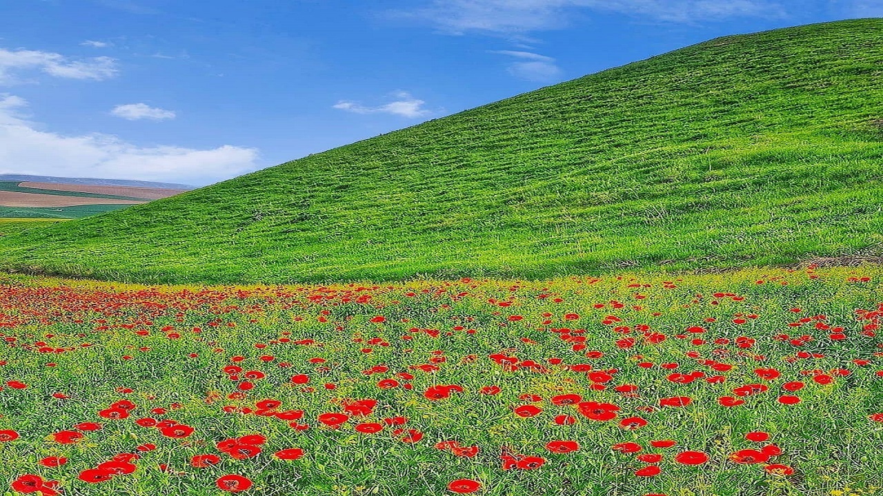 تپه ماهور‌های هزار دره در قاب دوربین شهروندخبرنگار + فیلم و تصاویر