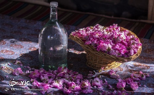 جذاب&zwnj;ترین اخبار استان&zwnj;ها