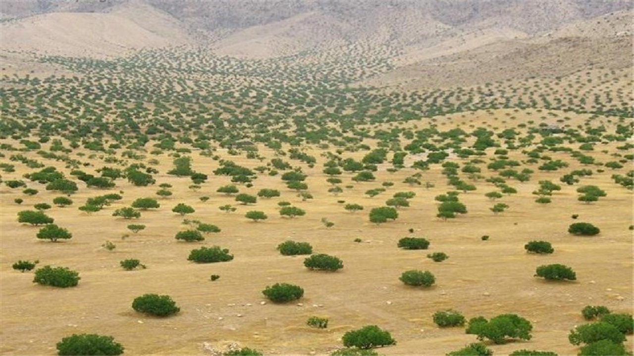 کانون‌های گرد و غبار، چشم انتظار تعبیر رویایی به نام آب