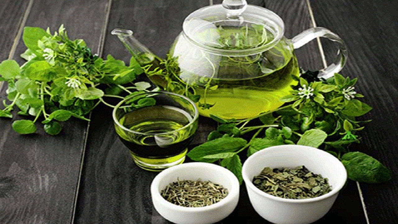 نحوه مصرف چای سبز در اقلیم‌های گوناگون