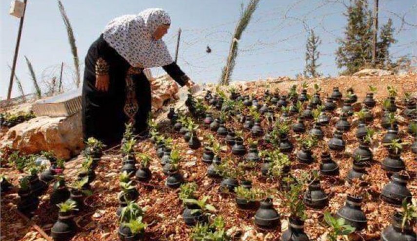 گلدان های بمبی مادر فلسطینی