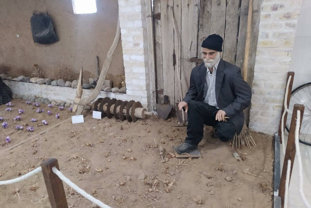 مجوز نخستین موزه زعفران کشور در تربت حیدریه صادر شد