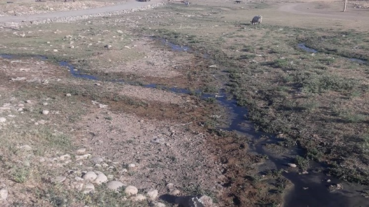 خیران جان و تصمیمی از جنس نور و روشنایی/ مرثیه ای بر دام سنتی استان خوزستان