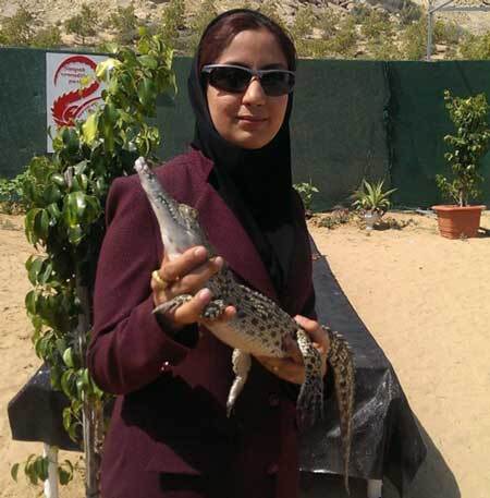 شغل عجیب بانوی شجاع ایرانی  / ماجرای جالب زنی که کارمندی را رها کرد و ملکه تمساح ها شد!