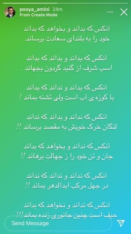 پویا امینی