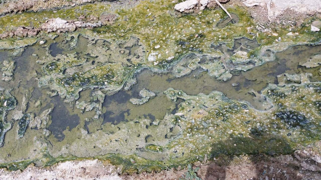 خودنمایی فاضلاب در معابر سرپل‌ذهاب + تصاویر