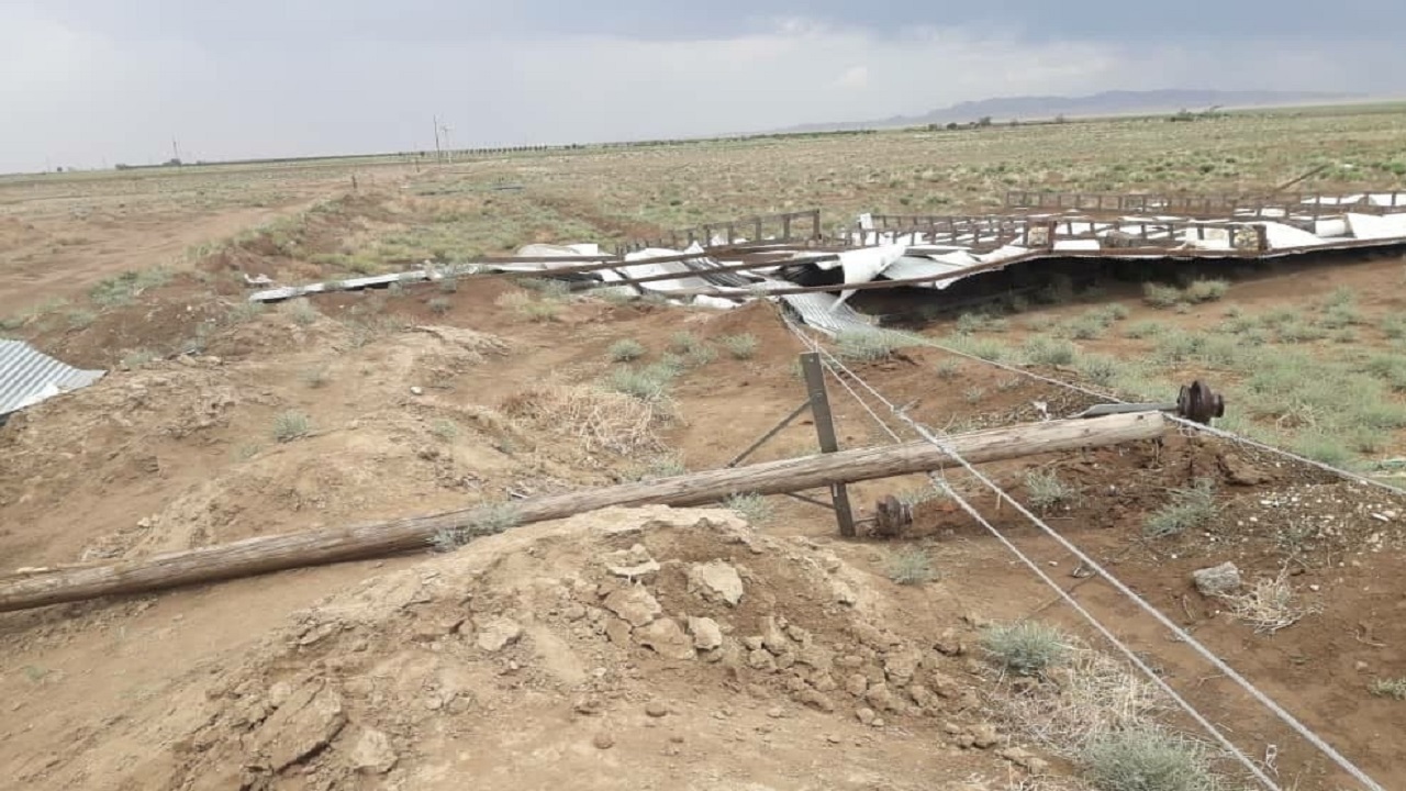 خسارت باد به شبکه برق هونستان میامی