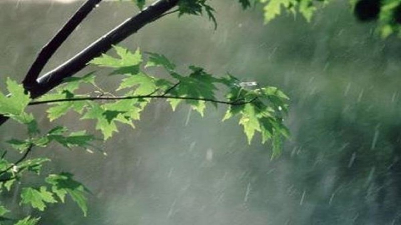 ادامه بارش‌های پراکنده در گلستان
