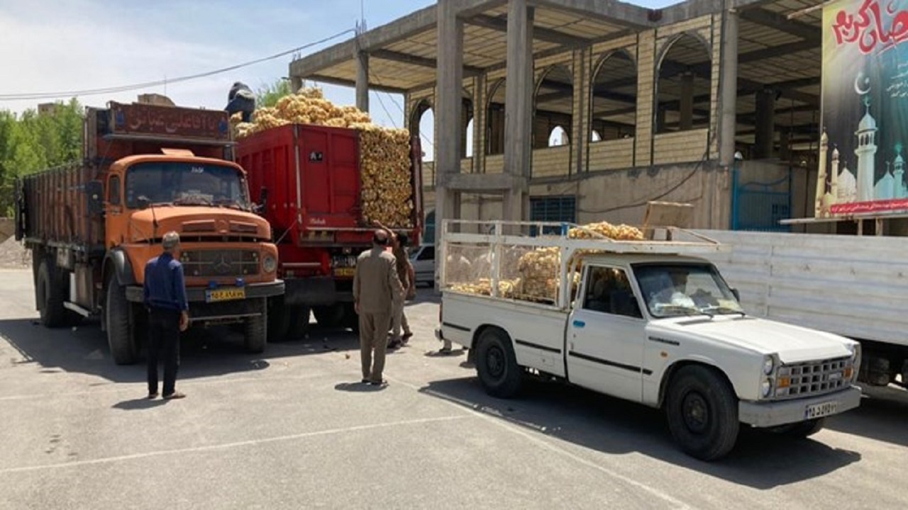 توزیع ۲۰۰ تن پیاز در بین نیازمندان چهارمحال و بختیاری
