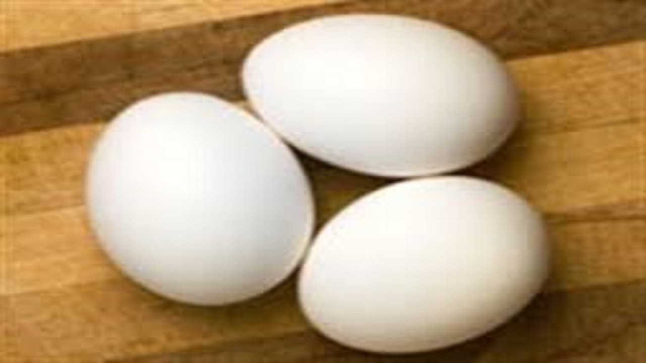 انواع تخم مرغ  بسته بندی را چند بخریم؟