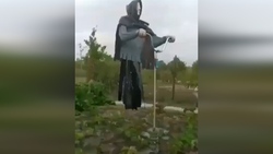باغ گلشن، بهشتی در دل کویر + فیلم