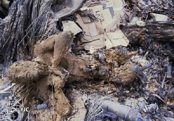 واقعه طبس