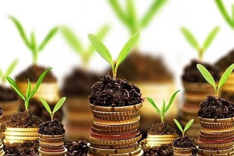 پرداخت بالغ بر ۴۰ میلیارد ریال تسهیلات توسط بانک کشاورزی فارس