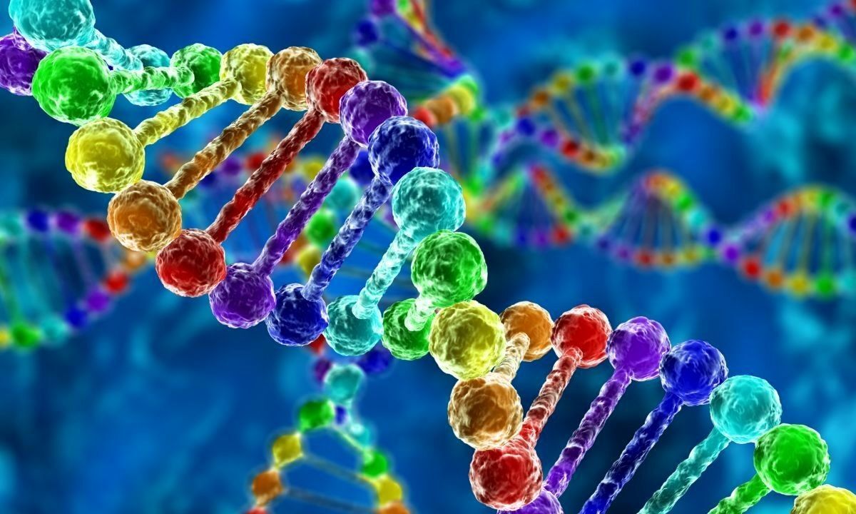محیط بانان چطور از علم ژنتیک استفاده می‌کنند؟