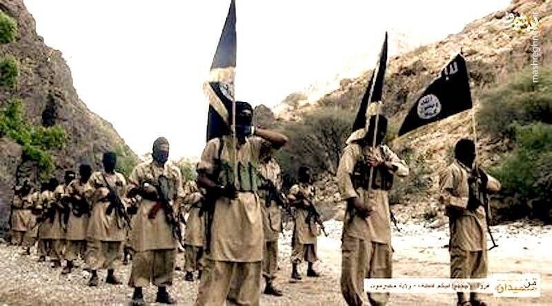 اتحاد با القاعده آخرین راهکار عربستان برای جلوگیری از سقوط مارب