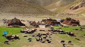 آغاز  کوچ بهاره عشایر از  هرمزگان