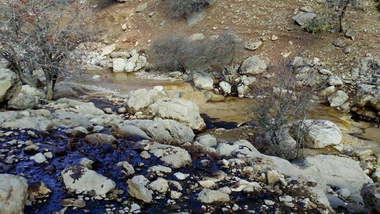 تکرار توهین به شمالیها/ ماجرای ادامه دار سوء استفاده از سهمیه واکسن کرونای پاکبانان/ رجزخوانی در فضای مجازی؛ دستگیری در واقعیت تکرار توهین به شمالیها/ ماجرای ادامه دار سوء استفاده از سهمیه واکسن کرونای پاکبانان/ رجزخوانی در فضای مجازی؛ دستگیری در واقعیت