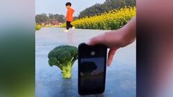 چند حقه علمی جالب با استفاده از مایعات + فیلم