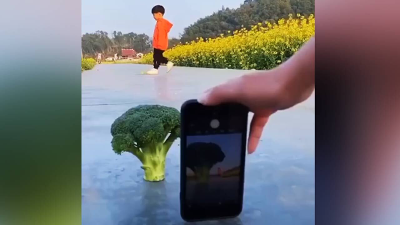 چند ترفند جالب برای عکاسی + فیلم