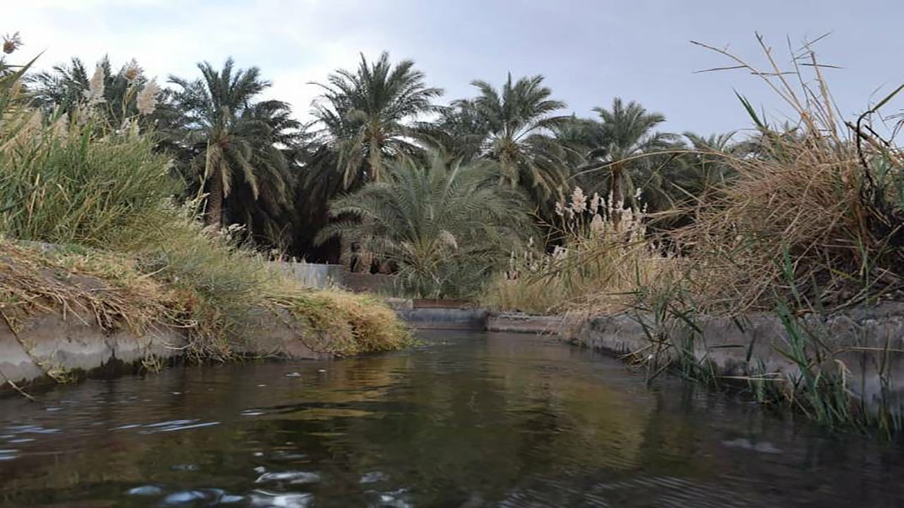 تحقیق دانش‌آموزان بمی در مورد قنوات