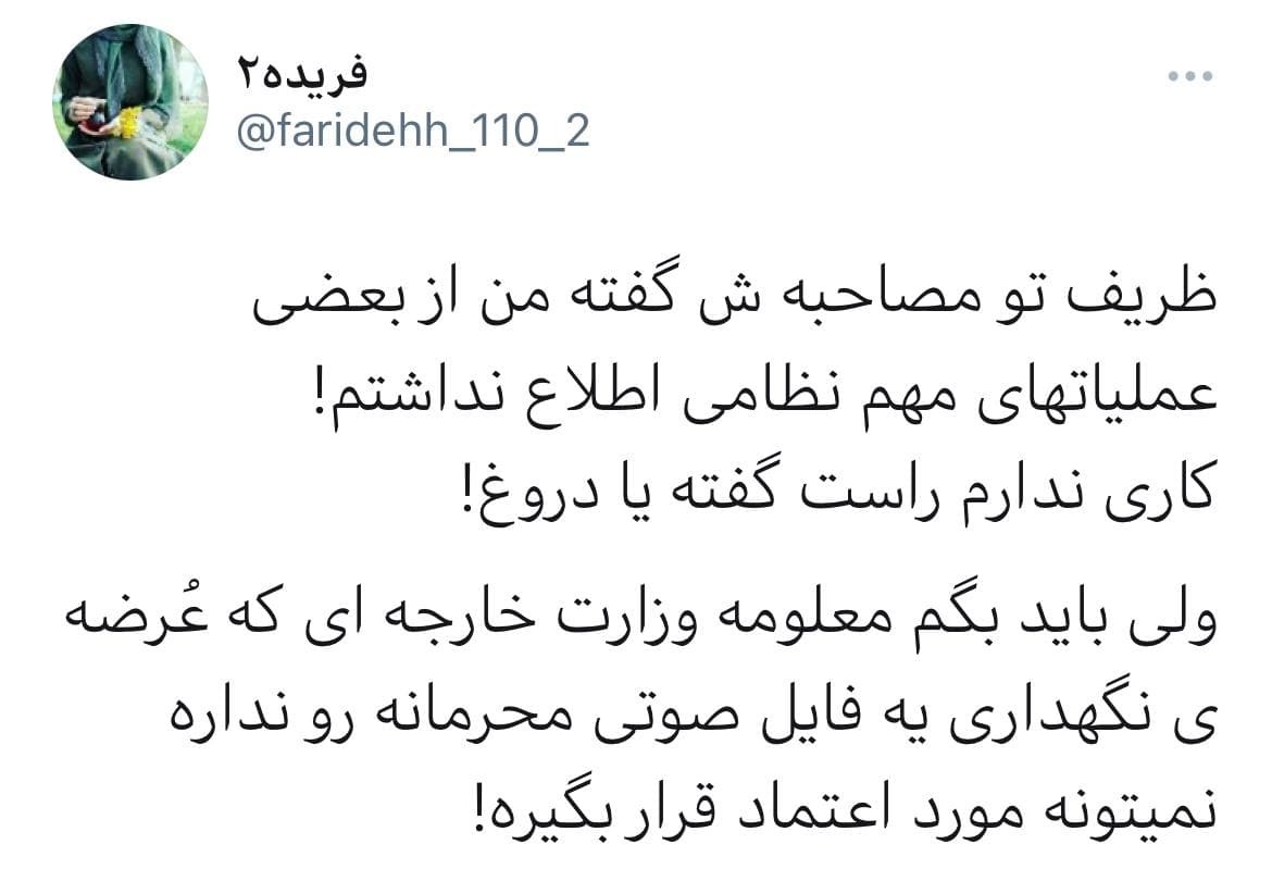 فایل صوتی و محرمانه ظریف صدای کاربران را درآورد