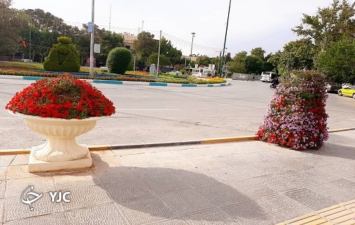 گل&zwnj;آرایی بهارانه با اطلسی&zwnj;ها