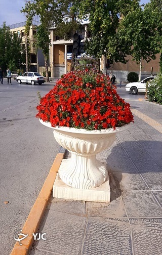 گل&zwnj;آرایی بهارانه با اطلسی&zwnj;ها