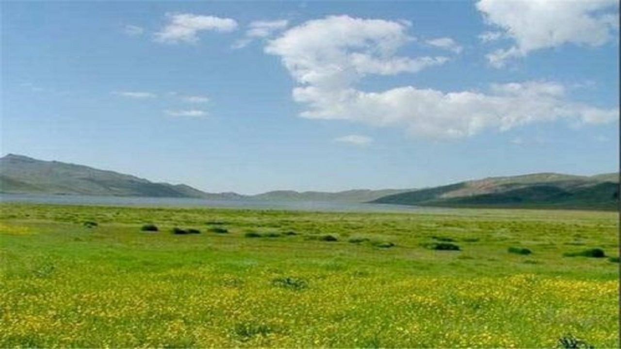 امسال ۵۰ هزار هکتار ذخیره گاه مرتعی در آذربایجان‌غربی شناسایی می‌شوند