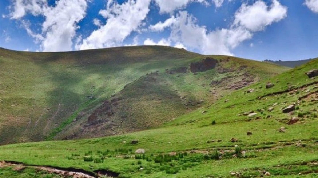 بهره مندی نیمی از مراتع استان سمنان از طرح‌های علمی بهره برداری