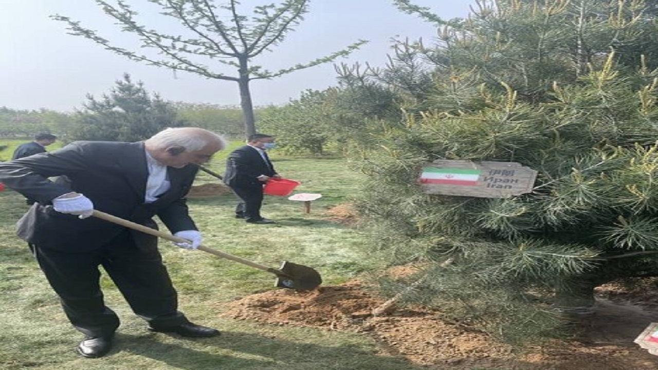 کاشت نهال ایران در اکسپوی شانگ‌های