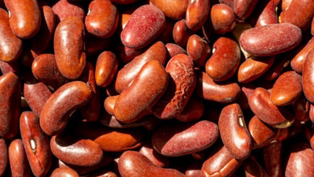 خطرناک&zwnj;ترین غذا&zwnj;های جهان کدامند؟