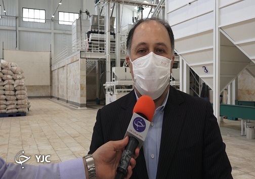 برنج ایرانی را امسال ارزان بخرید