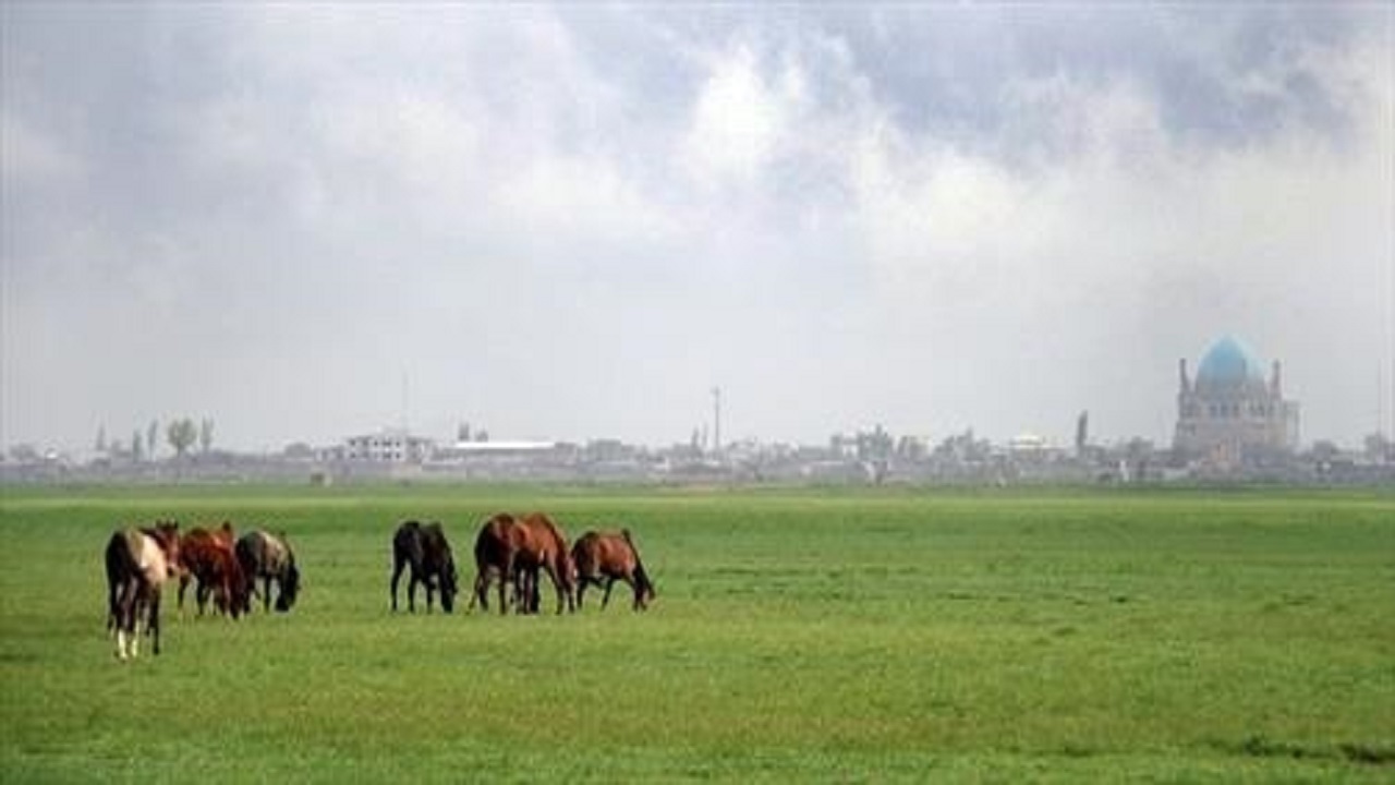 چمن تاریخی سلطانیه  احیاء می‌شود
