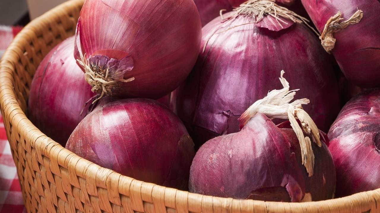 وضعیت نابسامان پیاز برای دومین سال پیاپی/کشاورزان محصول را غذای احشام کردند