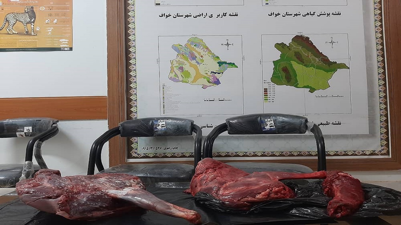 دستگیری شکارچیان غیرمجاز در خواف