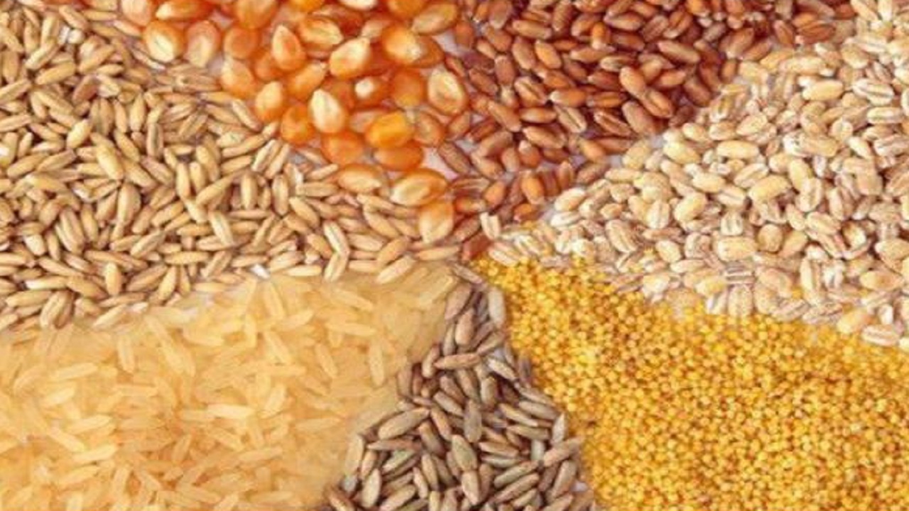 توزیع ۶۶۷ تن نهاده دام و طیور در نکا