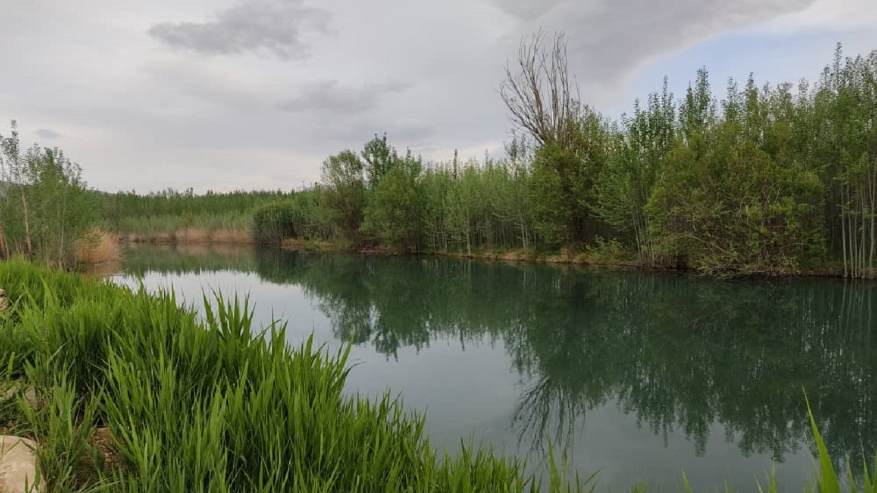 تصاویری زیبا و دل انگیز از طبیعت بهاری روستای گوشه