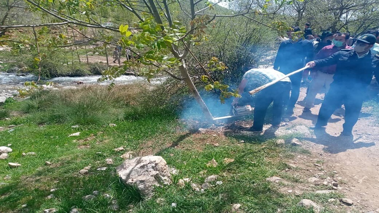 درگیری در سلسله